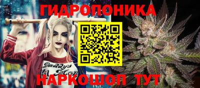 spice Рыбинск