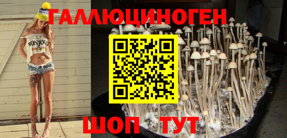 Псилоцибиновые грибы ЛСД  Вход с VPN  Октябрьский 